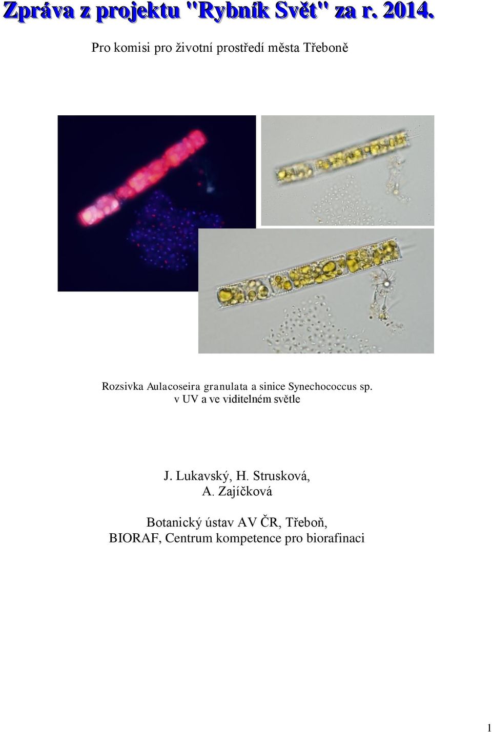 granulata a sinice Synechococcus sp. v UV a ve viditelném světle J.