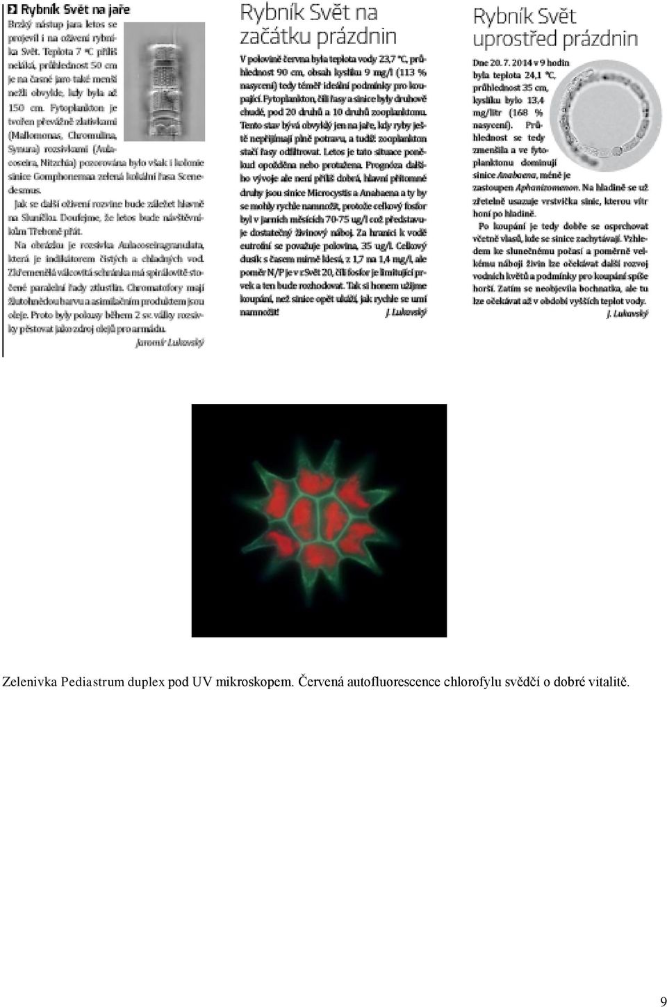 Červená autofluorescence