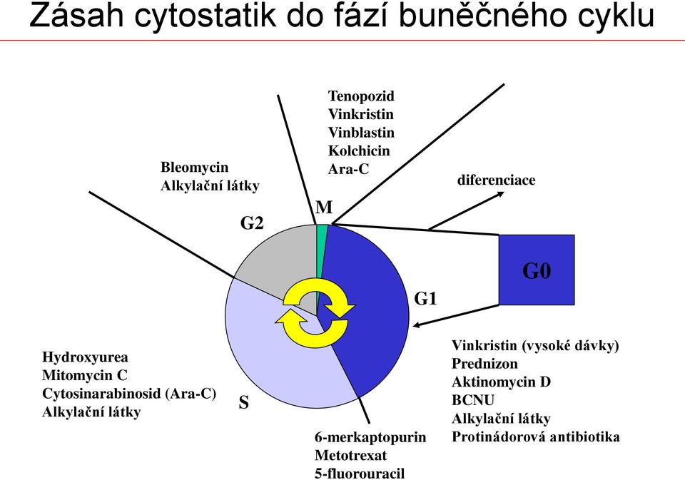 Cytosinarabinosid (Ara-C) Alkylační látky S 6-merkaptopurin Metotrexat 5-fluorouracil