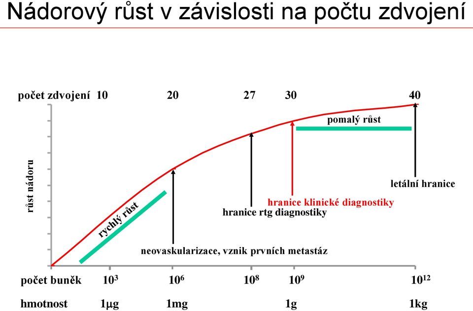 hranice rtg diagnostiky 30 20 10 neovaskularizace, vznik prvních metastáz