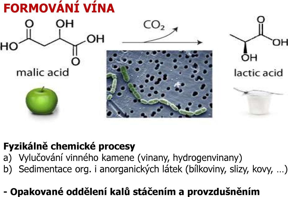 mléčnou baktérie Leuconostoc (Oenococcus) nezbytné pro bílá vína v severních oblastech malát tvoří až ¾ kyselosti Fyzikálně chemické