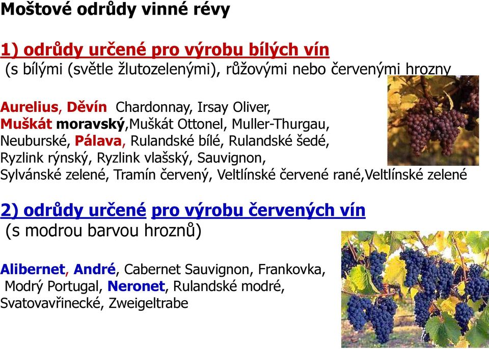 rýnský, Ryzlink vlašský, Sauvignon, Sylvánské zelené, Tramín červený, Veltlínské červené rané,veltlínské zelené 2) odrůdy určené pro výrobu