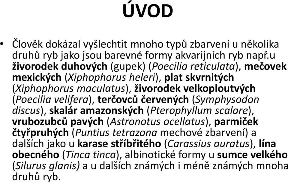 (Poecilia velifera), terčovců červených (Symphysodon discus), skalár amazonských (Pterophyllum scalare), vrubozubců pavých (Astronotus ocellatus), parmiček