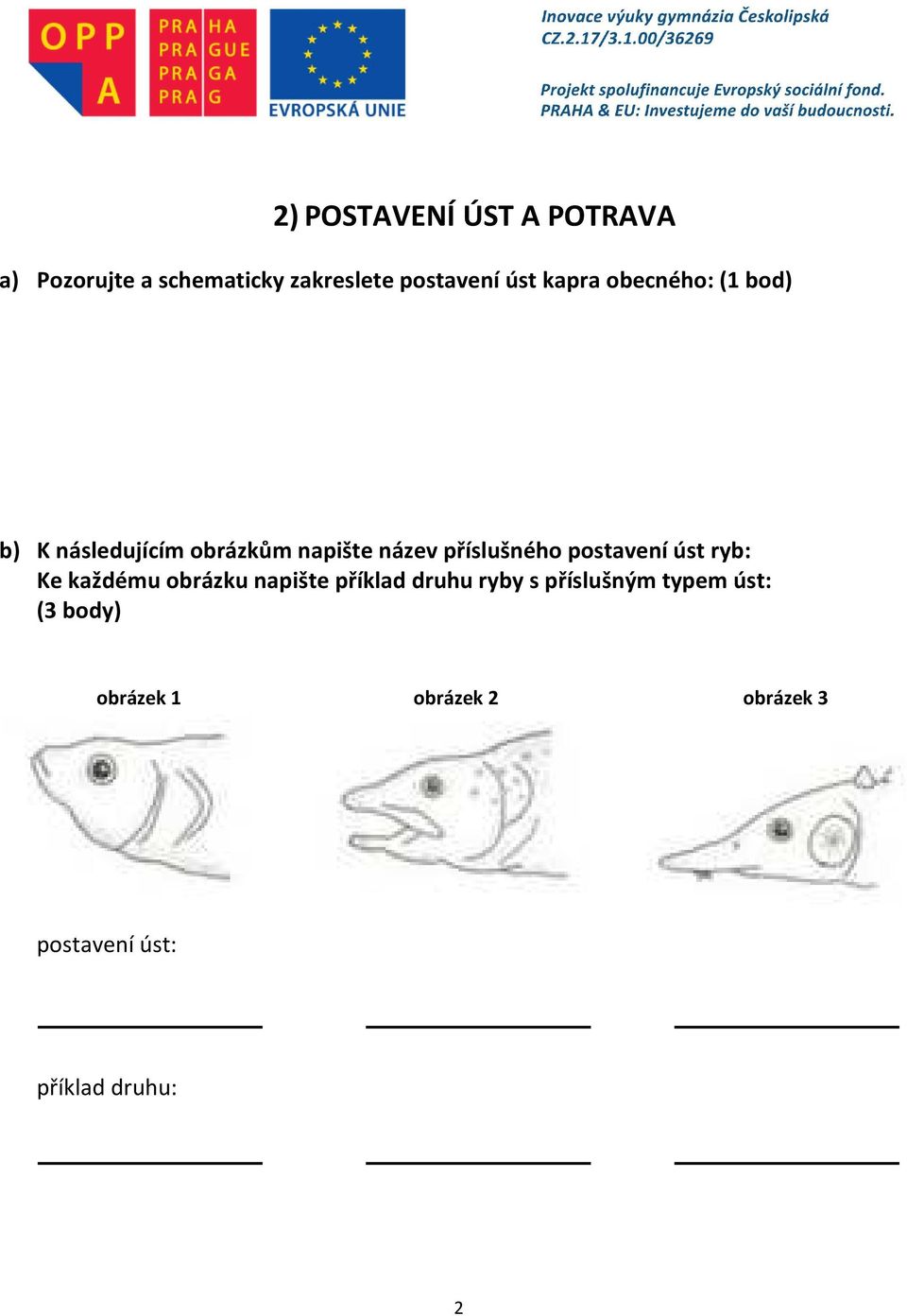 postavení úst ryb: Ke každému obrázku napište příklad druhu ryby s příslušným