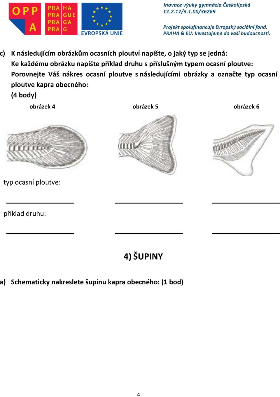 následujícími obrázky a označte typ ocasní ploutve kapra obecného: (4 body) obrázek 4 obrázek 5