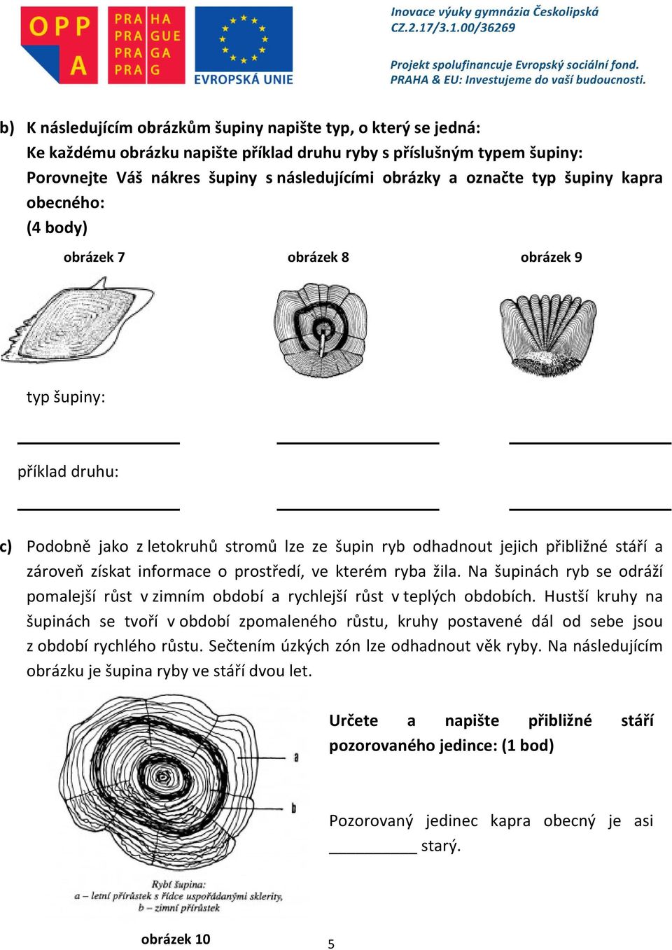 získat informace o prostředí, ve kterém ryba žila. Na šupinách ryb se odráží pomalejší růst v zimním období a rychlejší růst v teplých obdobích.