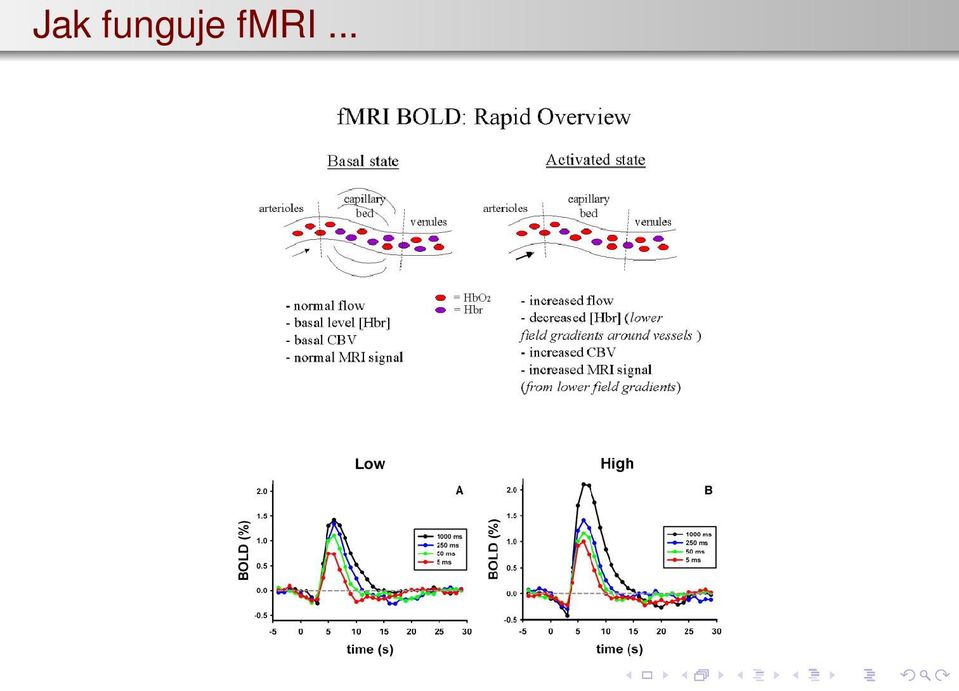 fmri...