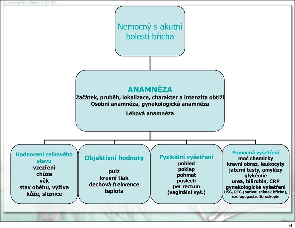 frekvence teplta Fyzikální vyšetření phled pklep phmat pslech per rectum (vaginální vyš.