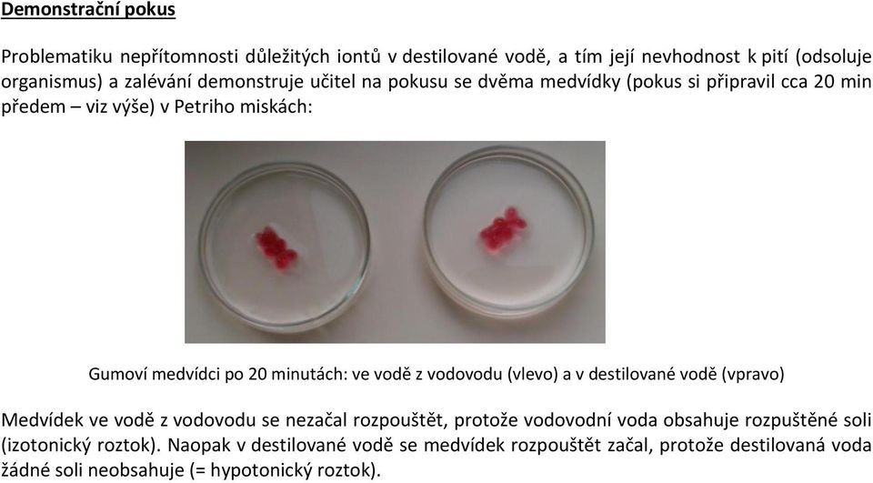 vodě z vodovodu (vlevo) a v destilované vodě (vpravo) Medvídek ve vodě z vodovodu se nezačal rozpouštět, protože vodovodní voda obsahuje rozpuštěné