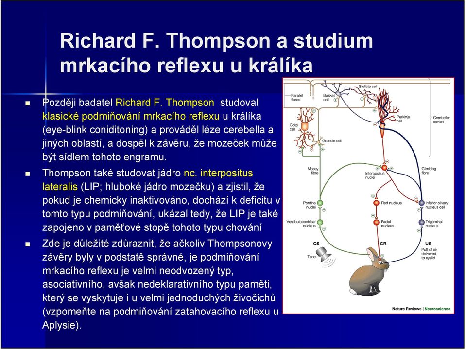 Thompson také studovat jádro nc.