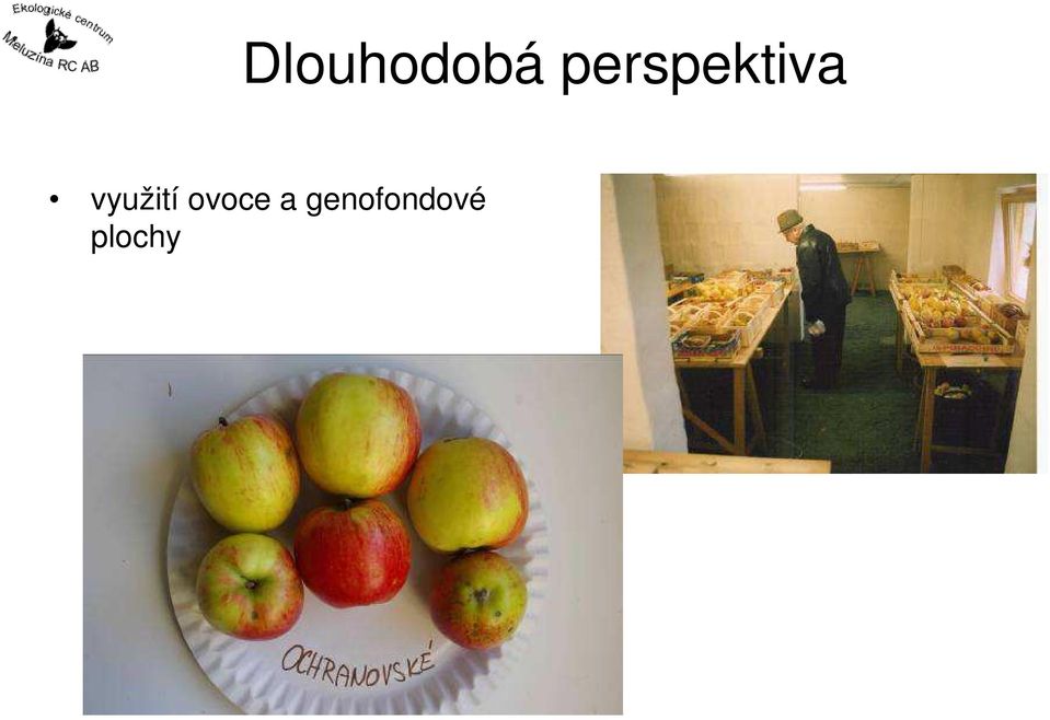 využití ovoce