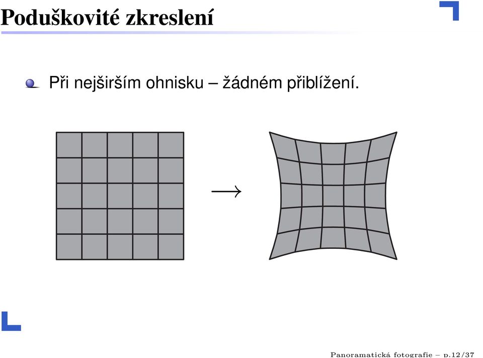 12/37 Poduškovité