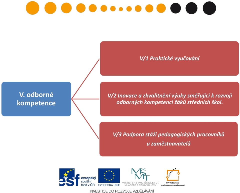 výuky směřující k rozvoji odborných kompetencí