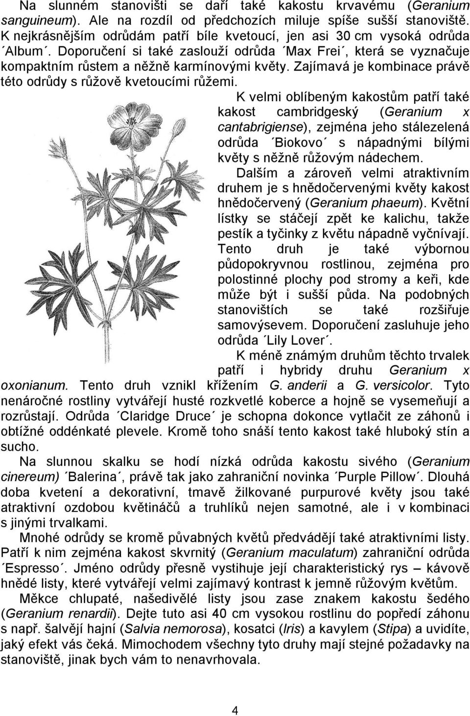 Zajímavá je kombinace právě této odrůdy s růžově kvetoucími růžemi.