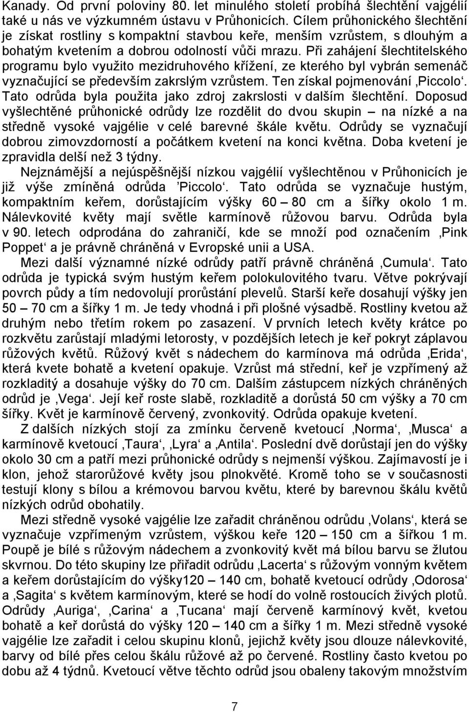 Při zahájení šlechtitelského programu bylo využito mezidruhového křížení, ze kterého byl vybrán semenáč vyznačující se především zakrslým vzrůstem. Ten získal pojmenování Piccolo.