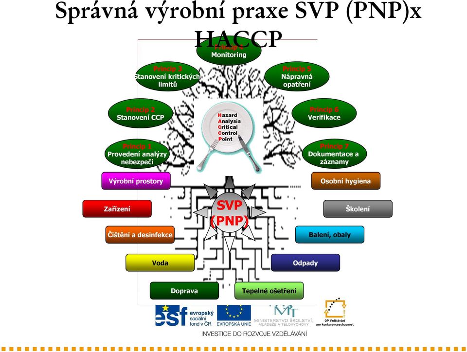 Provedení analýzy nebezpečí Princip 7 Dokumentace a záznamy Výrobní prostory Osobní hygiena