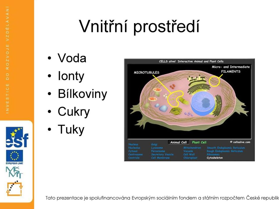 Voda Ionty