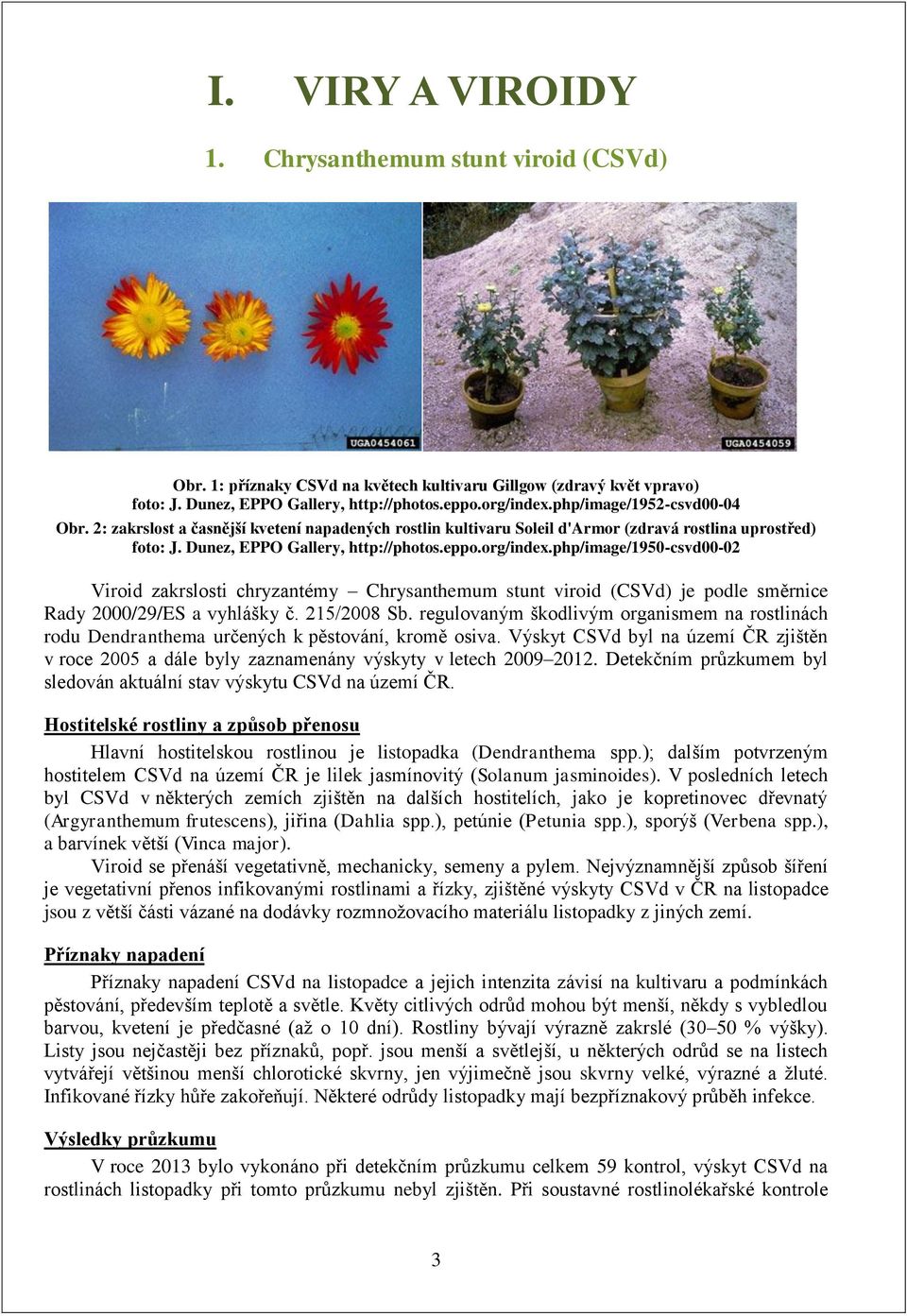 php/image/1950-csvd00-02 Viroid zakrslosti chryzantémy Chrysanthemum stunt viroid (CSVd) je podle směrnice Rady 2000/29/ES a vyhlášky č. 215/2008 Sb.