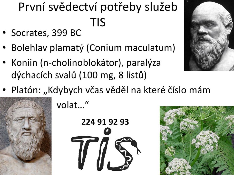(n-cholinoblokátor), paralýza dýchacích svalů (100 mg,