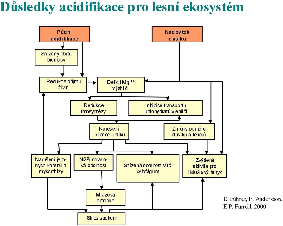 Změny poměru dusíku a fenolů Narušení jemných kořenů a mykorrhizy Nižší mrazová odolnost Snížená odolnost vůči