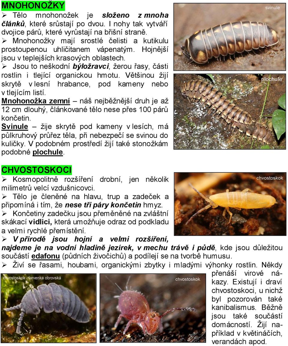 Jsou to neškodní býložravci, žerou řasy, části rostlin i tlející organickou hmotu. Většinou žijí skrytě v lesní hrabance, pod kameny nebo v tlejícím listí.