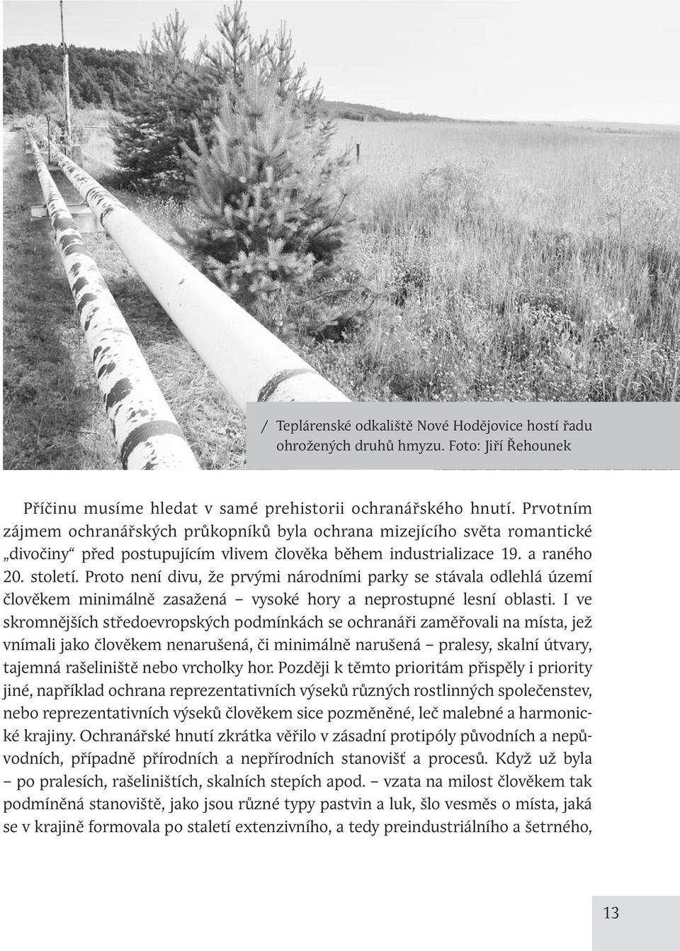 Proto není divu, že prvými národními parky se stávala odlehlá území člověkem minimálně zasažená vysoké hory a neprostupné lesní oblasti.