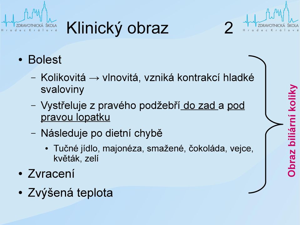 lopatku Následuje po dietní chybě Zvracení Tučné jídlo, majonéza,