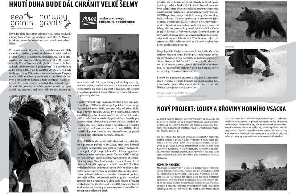 Člověk je intenzivně pronásledoval už ve středověku, ale výrazně jich začalo ubývat v 18. století: za vlády Marie Terezie začalo platit nařízení o hubení velkých šelem myslivci i poddanými.
