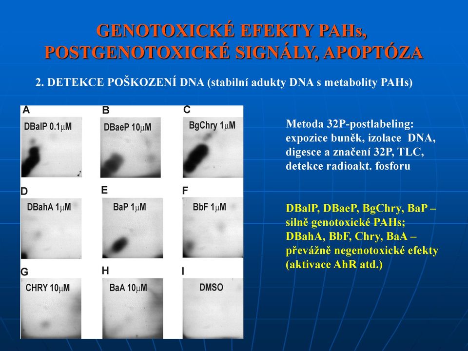 expozice buněk, izolace DNA, digesce a značení 32P, TLC, detekce radioakt.