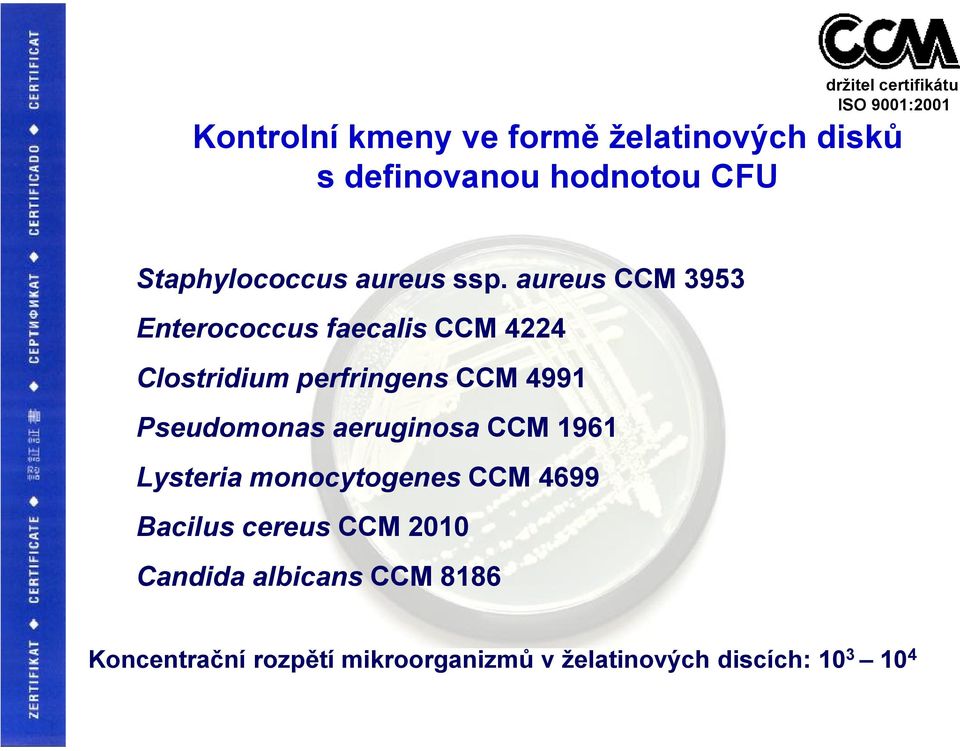 aureus CCM 3953 Enterococcus faecalis CCM 4224 Clostridium perfringens CCM 4991 Pseudomonas