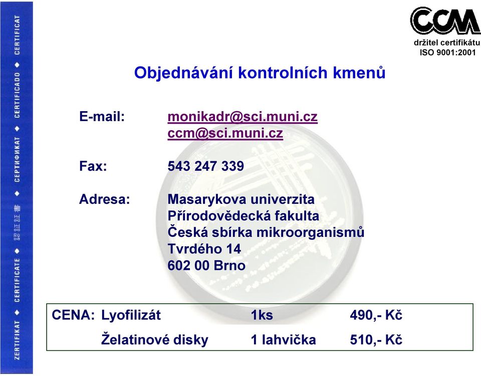 Přírodovědecká fakulta Česká sbírka mikroorganismů Tvrdého 14 602 00