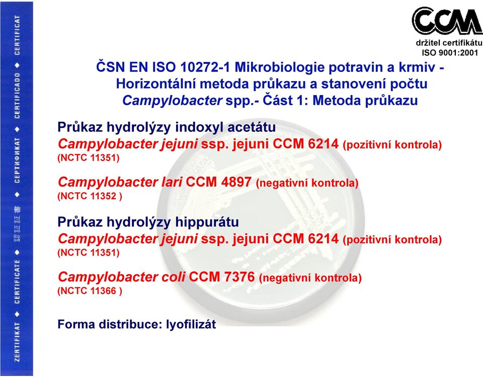 jejuni CCM 6214 (pozitivní kontrola) (NCTC 11351) Campylobacter lari CCM 4897 (negativní kontrola) (NCTC 11352 ) Průkaz hydrolýzy