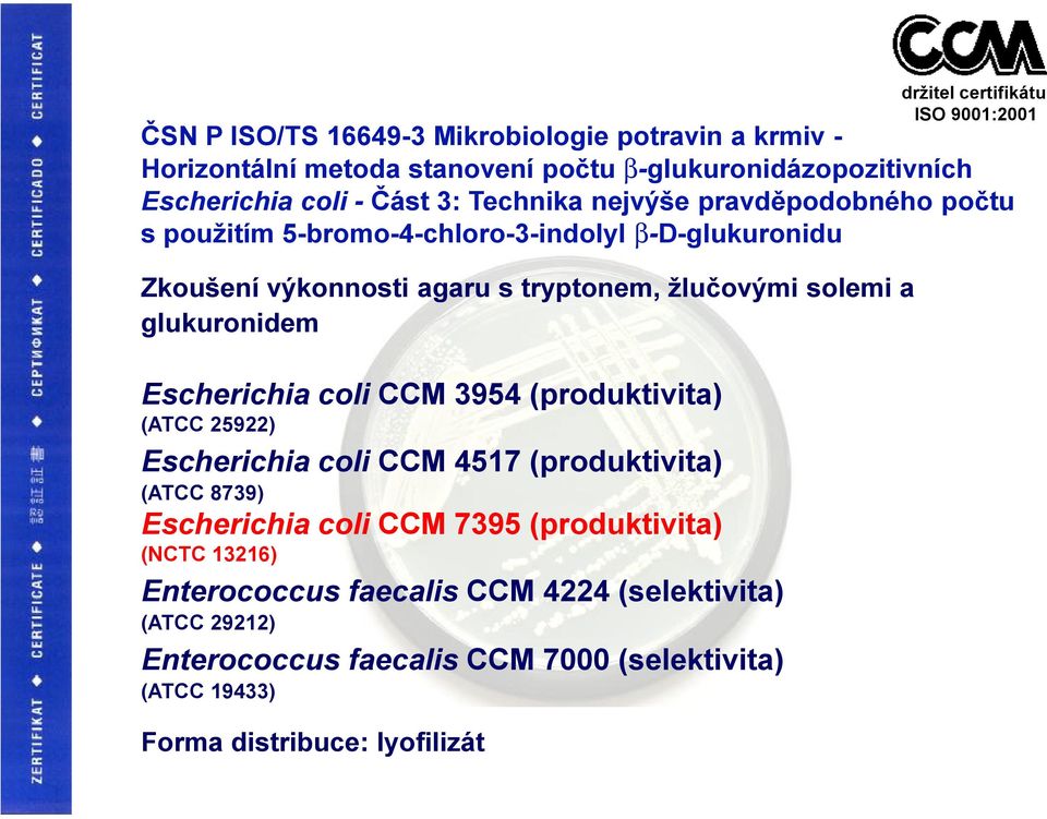 a glukuronidem Escherichia coli CCM 3954 (produktivita) (ATCC 25922) Escherichia coli CCM 4517 (produktivita) (ATCC 8739) Escherichia coli CCM 7395