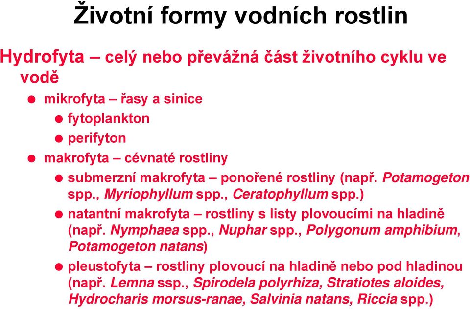 ) natantní makrofyta rostliny s listy plovoucími na hladině (např. Nymphaea spp., Nuphar spp.