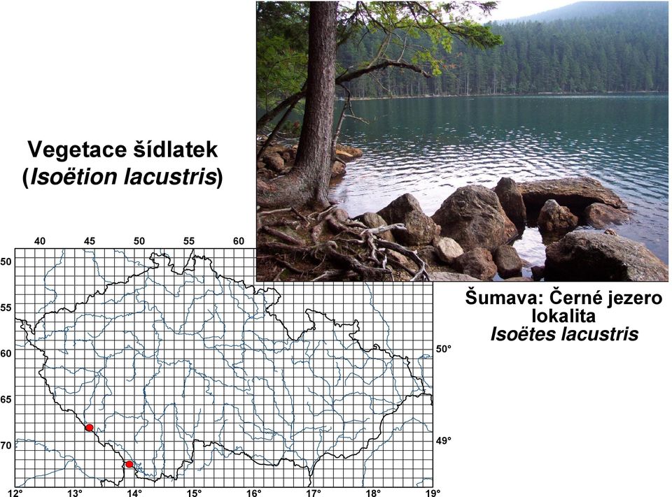 Šumava: Černé jezero lokalita Isoëtes