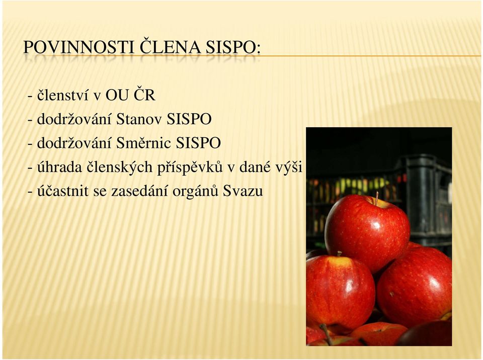 Směrnic SISPO - úhrada členských příspěvků
