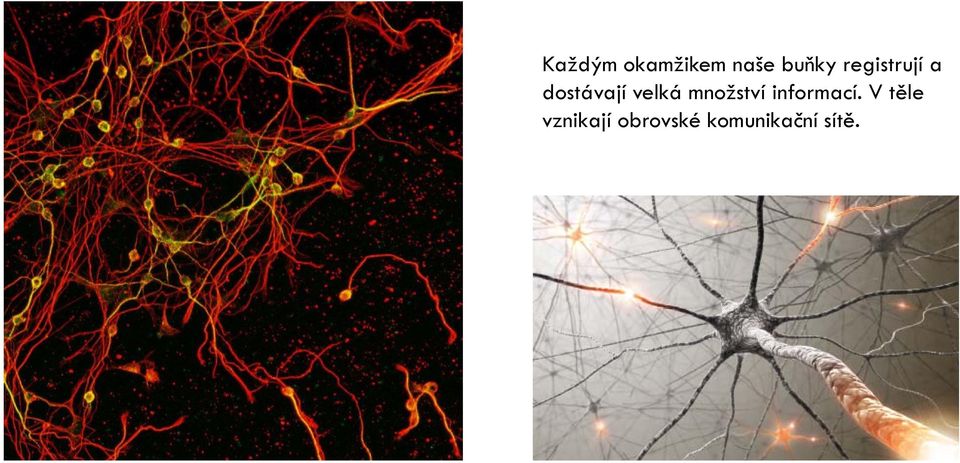 množství informací.