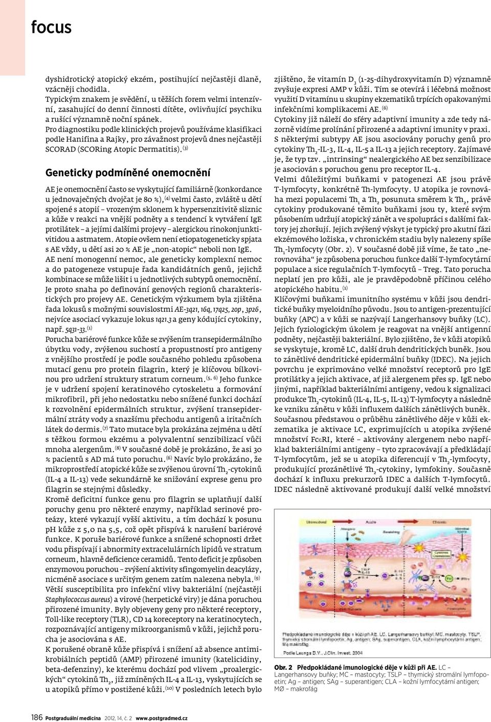Pro diagnostiku podle klinických projevů používáme klasifikaci podle Hanifina a Rajky, pro závažnost projevů dnes nejčastěji SCORAD (SCORing Atopic Dermatitis).