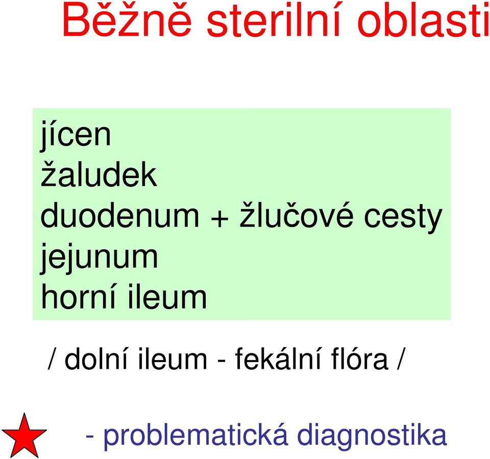 jejunum horní ileum / dolní ileum -