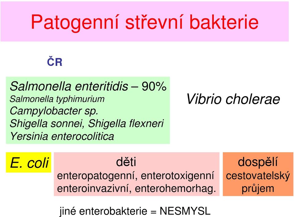 Shigella sonnei, Shigella flexneri Yersinia enterocolitica Vibrio cholerae E.