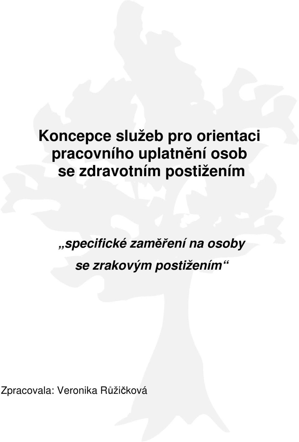 specifické zaměření na osoby se zrakovým