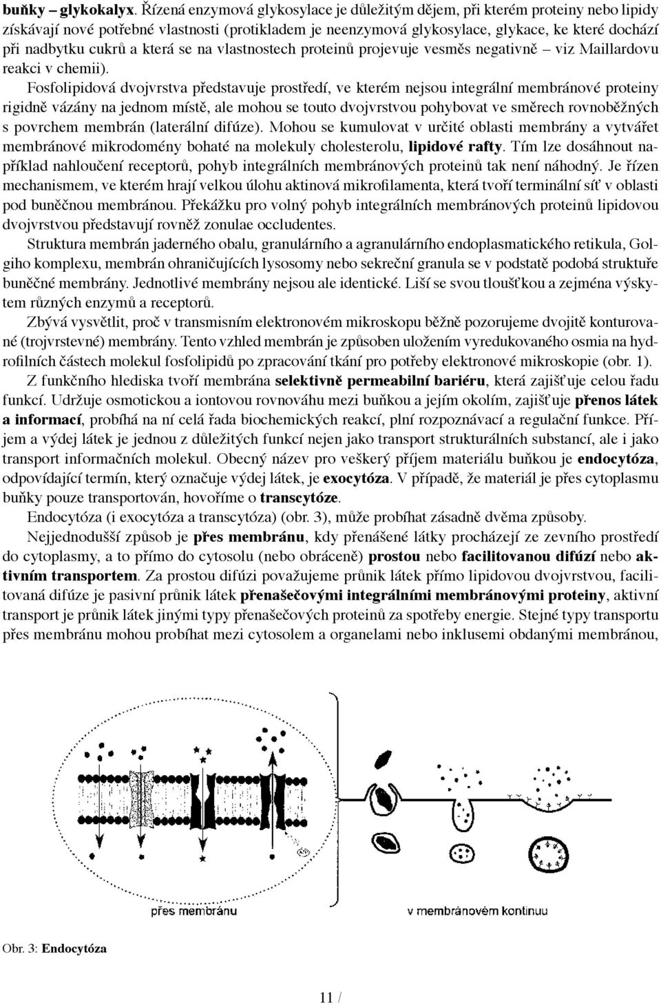 a která se na vlastnostech proteinů projevuje vesměs negativně viz Maillardovu reakci v chemii).