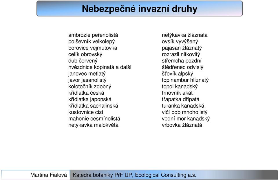 cesmínolistá netýkavka malokvětá netýkavka žláznatá ovsík vyvýšený pajasan žláznatý rozrazil nitkovitý střemcha pozdní štědřenec odvislý