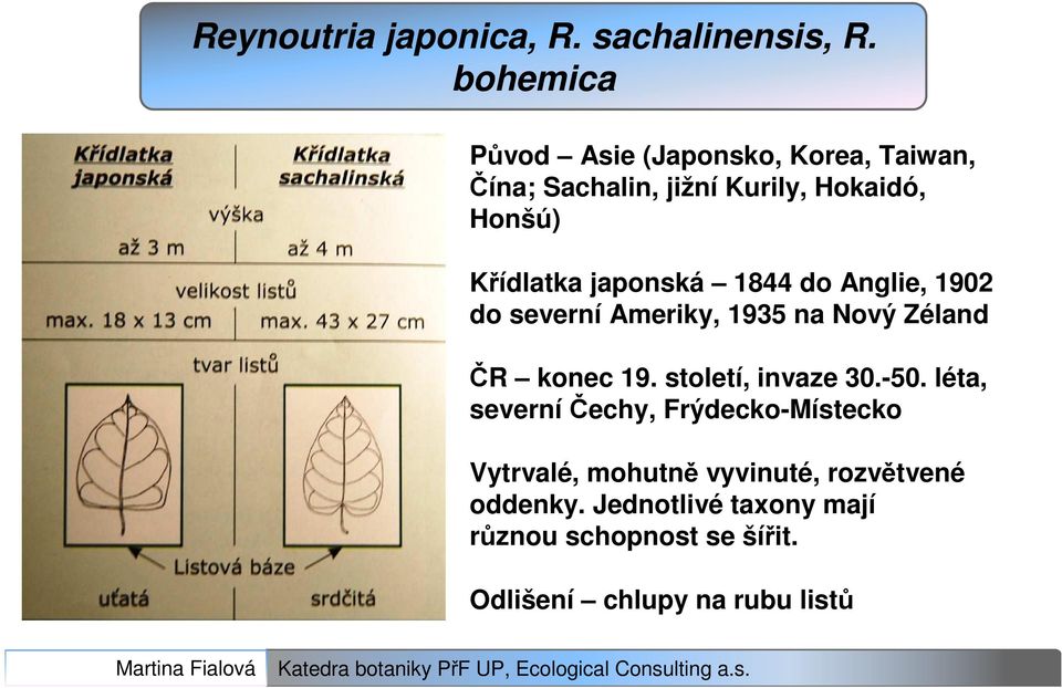 japonská 1844 do Anglie, 1902 do severní Ameriky, 1935 na Nový Zéland ČR konec 19. století, invaze 30.
