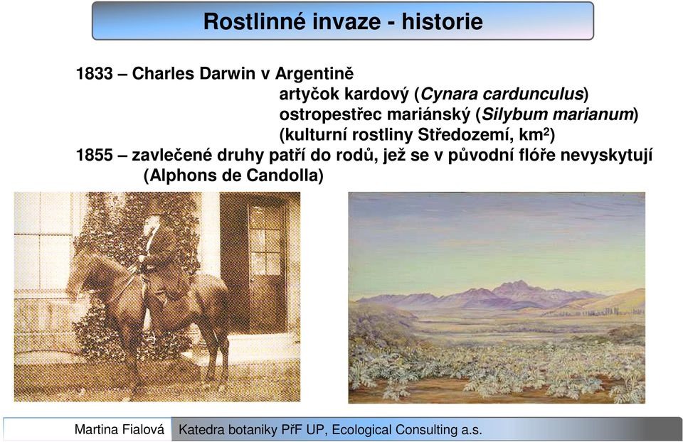 marianum) (kulturní rostliny Středozemí, km 2 ) 1855 zavlečené