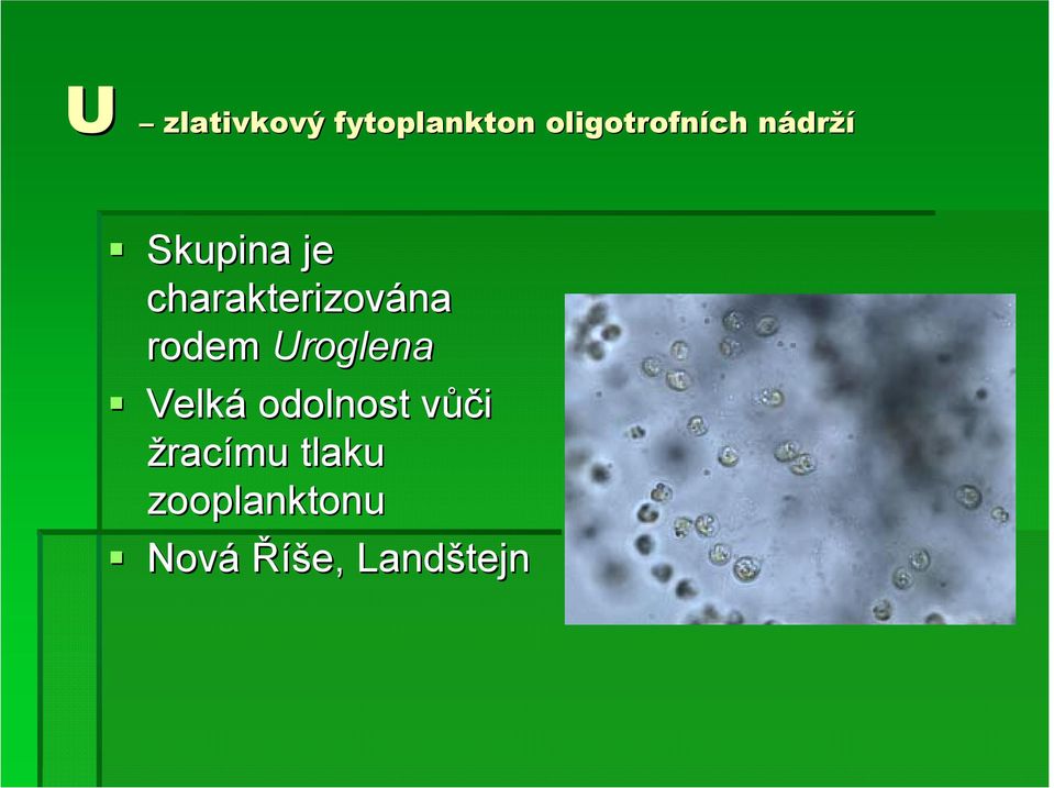 Skupina je charakterizována rodem