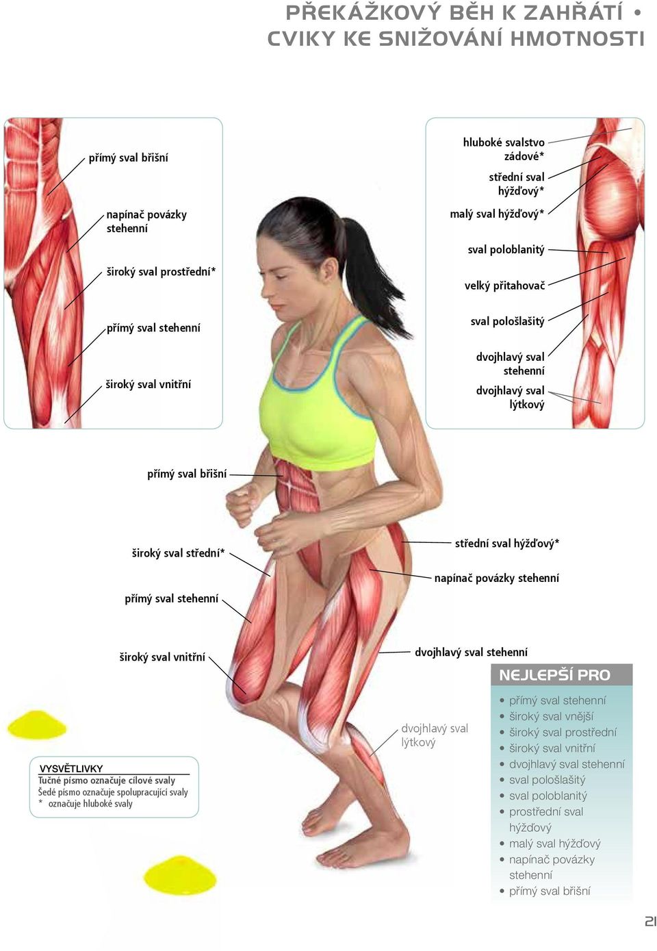 široký sval vnitřní VYSVĚTLIVKY Tučné písmo označuje cílové svaly Šedé písmo označuje spolupracující svaly * označuje hluboké svaly lýtkový NEJLEPŠÍ PRO přímý sval