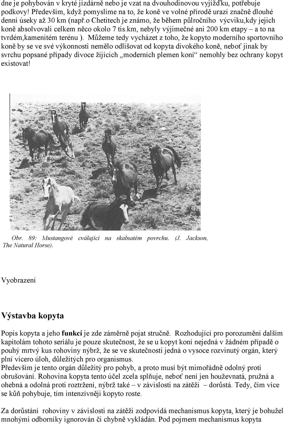 Můžeme tedy vycházet z toho, že kopyto moderního sportovního koně by se ve své výkonnosti nemělo odlišovat od kopyta divokého koně, neboť jinak by svrchu popsané případy divoce žijících moderních