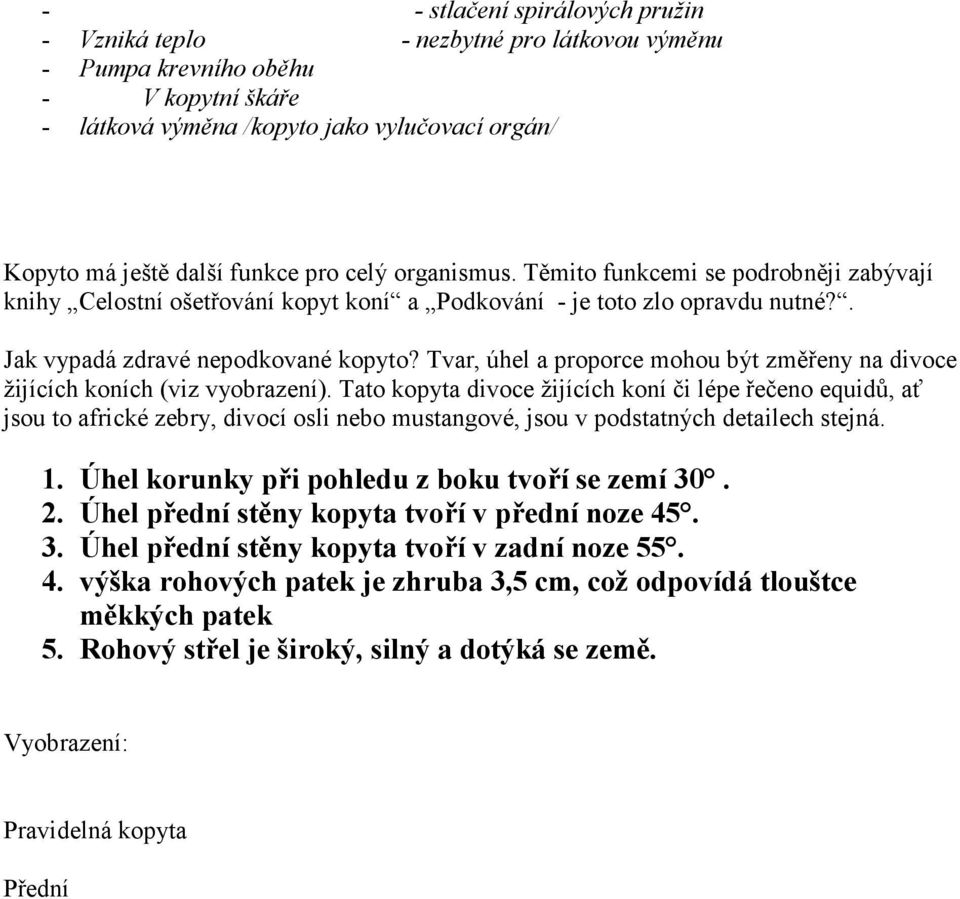 Tvar, úhel a proporce mohou být změřeny na divoce žijících koních (viz vyobrazení).