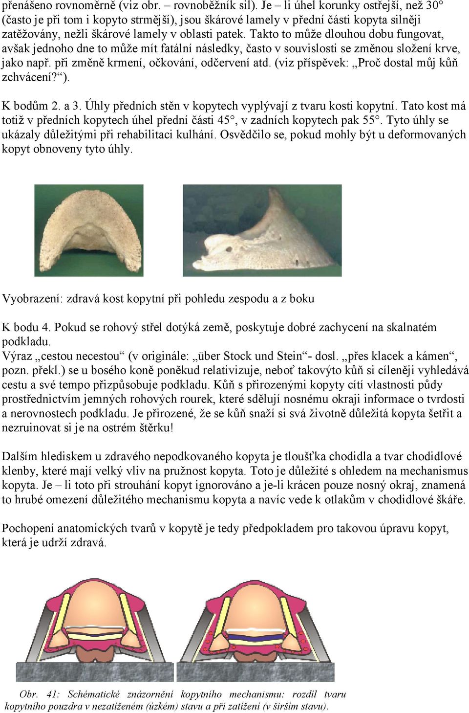 Takto to může dlouhou dobu fungovat, avšak jednoho dne to může mít fatální následky, často v souvislosti se změnou složení krve, jako např. při změně krmení, očkování, odčervení atd.